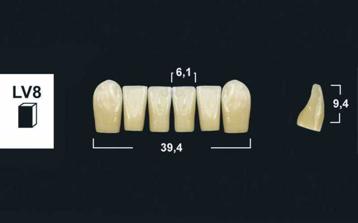 lower anterior denture teeth tribos 501