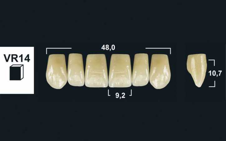 upper anterior denture teeth tribos 501
