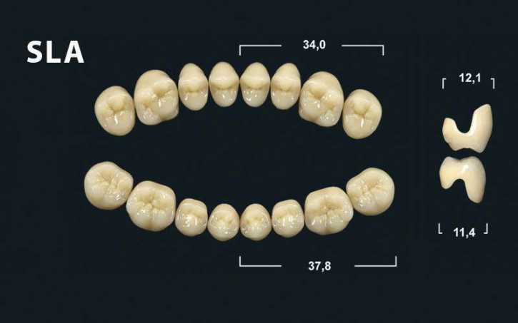 denture teeth tribos 501